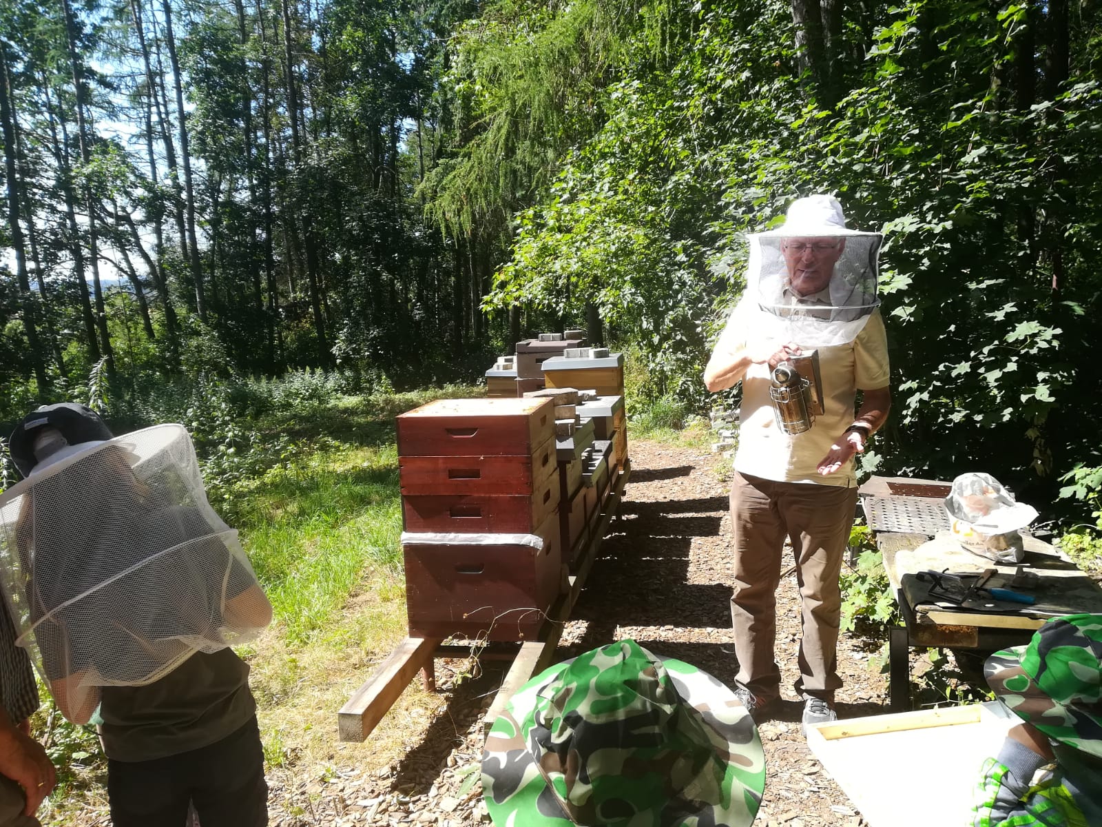 Ein Tag mit Bienen