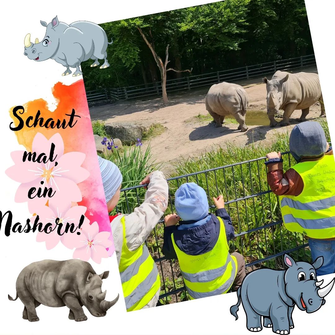 Wir fahren in den Zoo