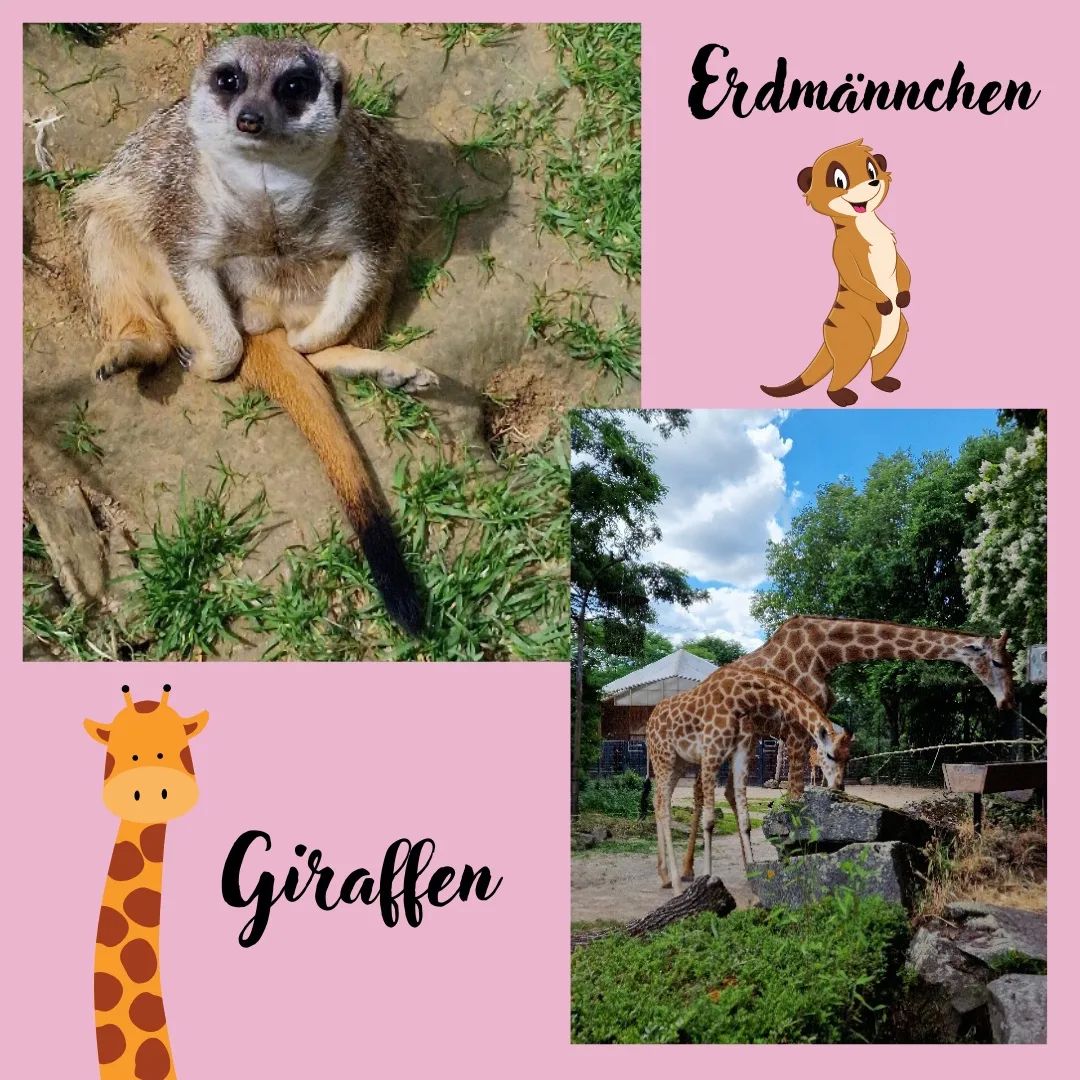 Fahrt in den Zoo Dortmund