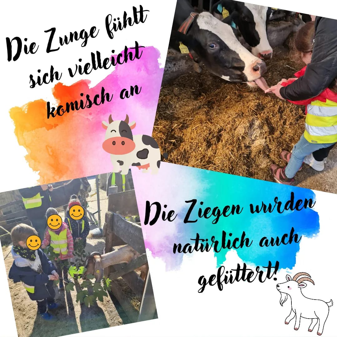 Ein Besuch auf dem Bauernhof